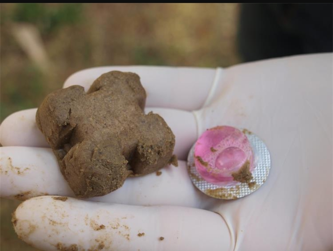 Ako naiđete na ovo budite oprezni